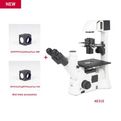 Motic AE31E LED Trinocular Inverted Fluorescence Microscope with FITC/TRITC Filter Bundle