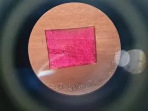 Motic AE21 Series Trinocular Inverted Microscope with Objectives, 12 of 28