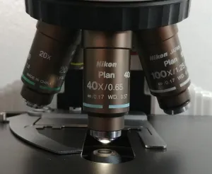 Nikon E400 Compound Microscope with Dual Head Side-by-Side Bridge, 5 of 9