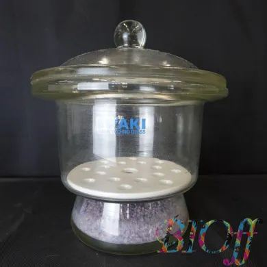 IWAKI Glass Desiccator Φ26cm Model 5804