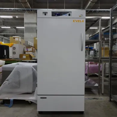 EYELA LTE-1010 Low Temperature Incubator with Programmable Gradient Control