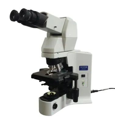 Olympus BX41 Compound Microscope with Tilting Telescoping Head and 100x Oil Objective