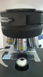 Olympus BX41 Compound Microscope with Dual Head Bridge and LED Side-by-Side Pointer, 4 of 7