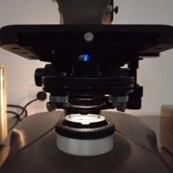 Nikon Labophot 2 Fluorescence Microscope with Binocular Head and Mechanical Stage, 6 of 13