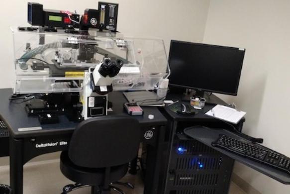 Olympus DeltaVision Elite-cover