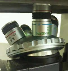 Olympus CK40 Phase Contrast Tissue Culture Microscope, 8 of 9