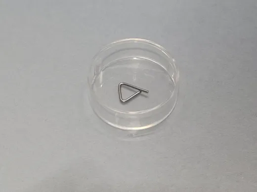 ZWIEBEL 100mg F1 INOX Calibration Weight