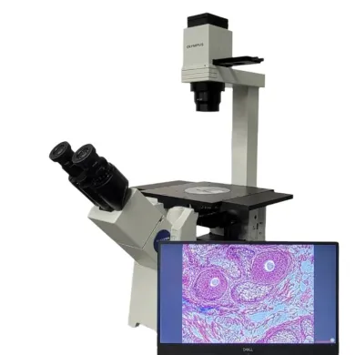 Olympus IX51 Inverted Microscope with Phase Contrast and 5MP Tucsen Camera