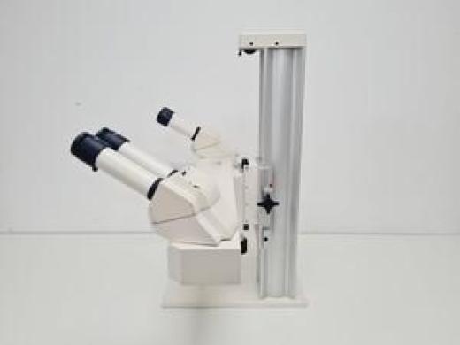 Zeiss Stemi SV 11 Dual Viewing Discussion Teaching Stereo Microscope Lab-cover