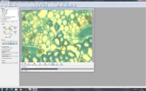 Zeiss PALM MicroBeam Laser Microdissection System with PC and Software, 13 of 109