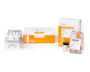 Illumina MiSeq, 3 of 4