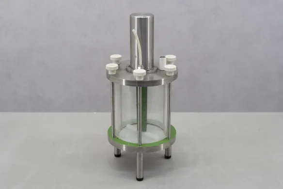 Double-walled Bioreactor Vessel with Magnetic Stirrer for Cell Cultures