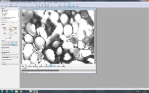 Zeiss PALM MicroBeam Laser Microdissection System with PC and Software, 18 of 109