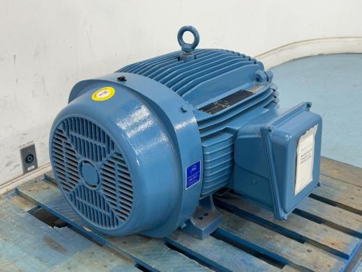 WEG 04AG008 Inverter Duty Motor for Industrial Applications-cover