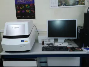 Olympus FV10i, 3 of 4