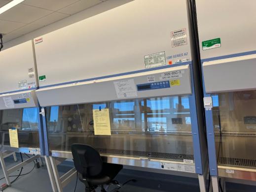 Thermo 1300 Series A2 6' BioSafety Cabinet-cover