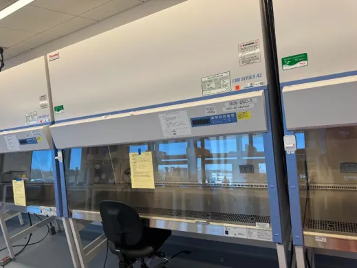 Thermo 1300 Series A2 6' BioSafety Cabinet