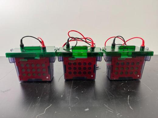 Bio-Rad Criterion Blotter for Protein Transfer - Set of 3-cover