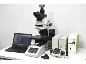 Olympus BX63 Upright Fluorescence Motorized Microscope BX63F with New Fluorescence Filters, 16 of 61