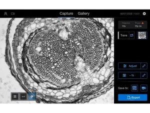 Thermo Fisher EVOS M3000 Phase Contrast and Fluorescence Microscope Imaging System, 10 of 21