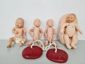 Maternity Birthing Simulator Cervix Examination, 2 of 8