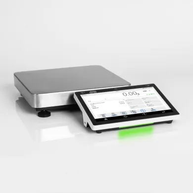 Radwag CY10.6.F1.K.M2 Precision Balance