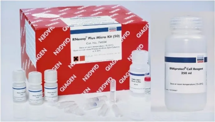 Qiagen RNeasy