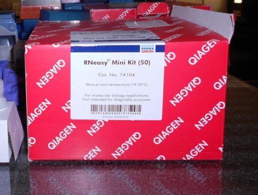 Qiagen RNeasy Mini Kit (50)-cover