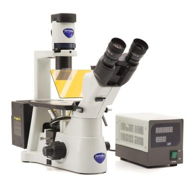 IM-3 Inverted HBO Fluorescence and Phase Contrast Microscope with IOS LWD PLAN Objectives and B&G Filter Set-cover
