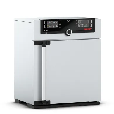 Memmert IF30plus Forced Circulation Incubator 32L, 115V
