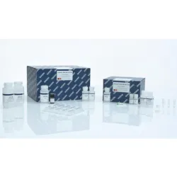 Qiagen QIAamp DNA Mini Kit, 2 of 4