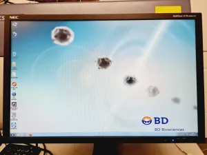 BD FACSCanto II Flow Cytometer with Fluidics Cart and Software, 38 of 50