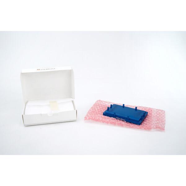StemCell EasyPlate EasySep Magnet