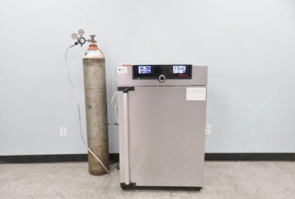 Memmert ICO150 156L CO2 Incubator for Controlled Cell Culture-cover