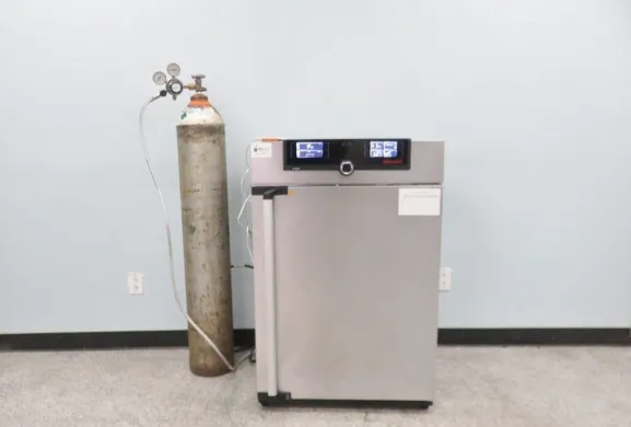 Memmert ICO150 156L CO2 Incubator for Controlled Cell Culture