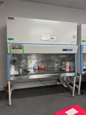 Thermo Fisher Scientific 1300 Series A2 6-Foot Class II Biosafety Cabinet-cover