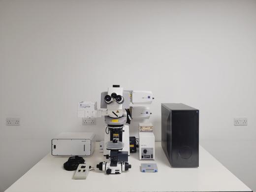 Zeiss Examiner.Z1 Axio Upright 2MP Laser Scanning Confocal Microscope