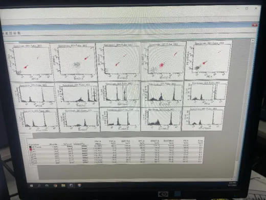 BD FACSymphony A3 5-Laser High-Parameter Flow Cytometer for Advanced Cell Analysis