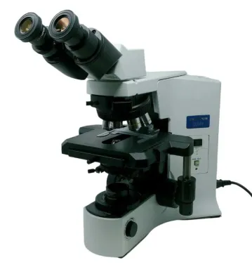 Olympus BX41 Clinical Binocular Microscope with Polarizer and Analyzer