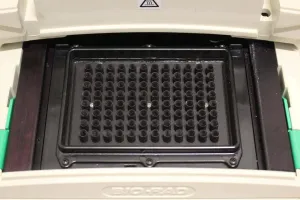 Bio-Rad iCycler 96-Well Gradient Thermal Cycler with MyiQ Real-Time Optical Module, 3 of 3