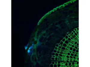 Thermo Scientific CellInsight CX7 LZR Confocal High Content Analysis Platform, 8 of 21