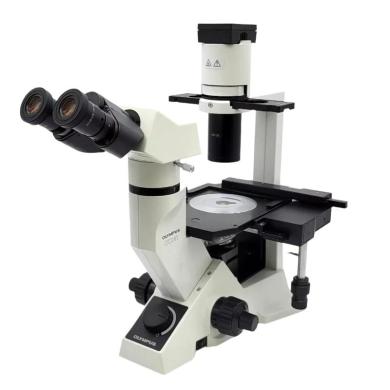 Olympus CKX41 Inverted Microscope with Phase Contrast and Mechanical XY Stage-cover
