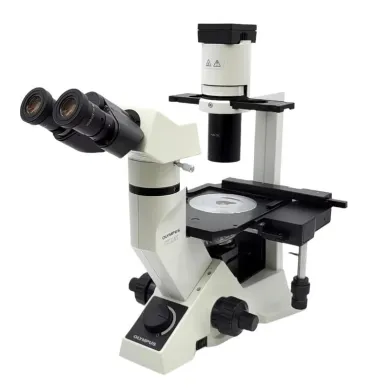 Olympus CKX41 Inverted Microscope with Phase Contrast and Mechanical XY Stage