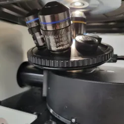 Olympus IX71 Inverted Microscope with DIC and Fluorescence Capability, 6 of 15