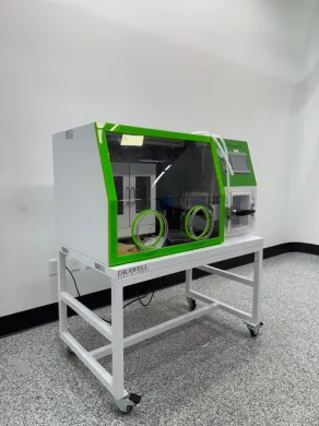 Drawell Anaerobic Incubator with Touchscreen Control and Mobile Stand
