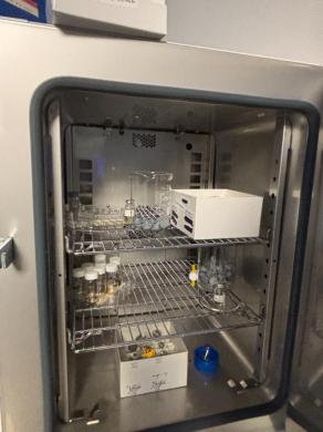 Thermo Scientific HERAtherm Laboratory Drying Oven for Controlled Temperature Applications-cover