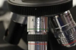 Olympus BH-2 Transmitted Light Fluorescence Microscope with Halogen and Fluorescence Illumination, 4 of 6