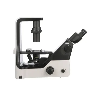 Accu-Scope EXI-410 Inverted Microscope with Phase Contrast for Tissue Culture