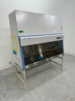 Thermo 1300 Series A2 6-Foot Class II Biosafety Cabinet for Containment and Sterile Work
