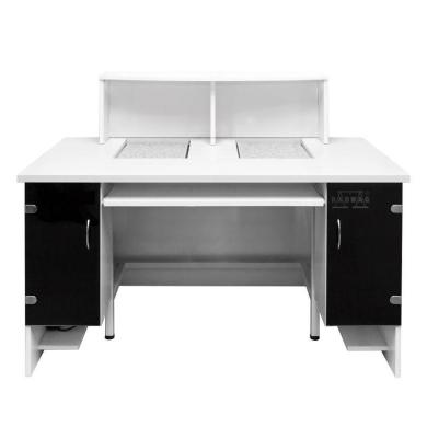 Radwag PSW/DUAL Professional Dual Weighing Workstation-cover